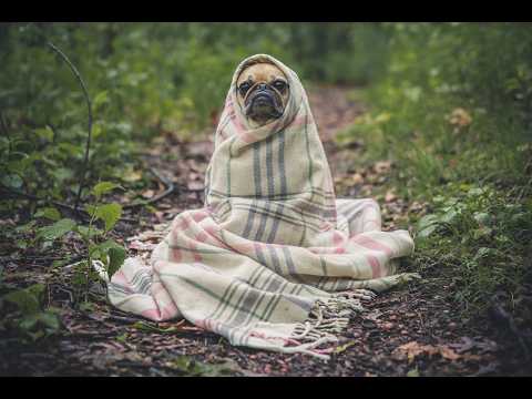 Машина времени 07.03