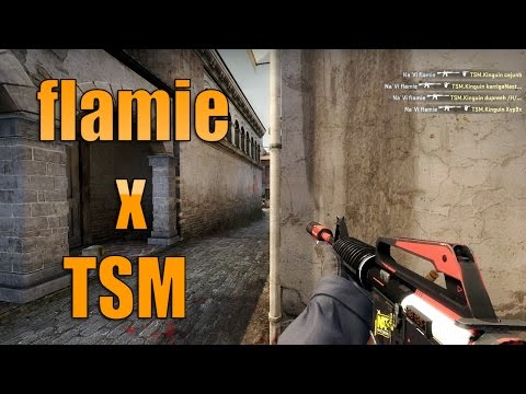 Steam Community :: Video :: CS:GO - flamie x TSM [ SLTV StarSeries XII ...