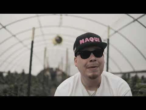 Whole Month's Rent - Mobbo Rawbo [OFFICIAL VIDEO]