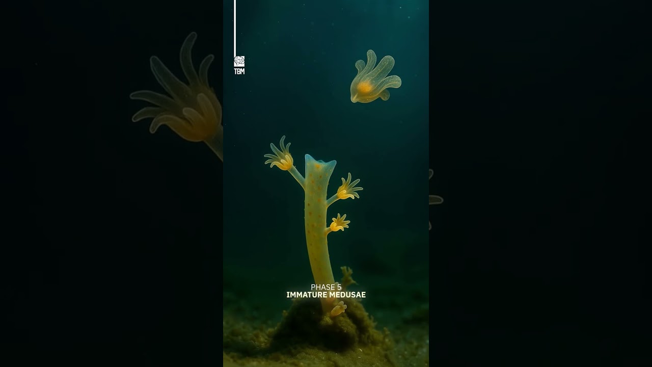 John D. Rockefeller: Từ tỷ phú kiệt quệ đến người cứu giúp nhân loại #podcast #livingheritage