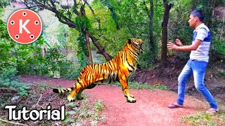 Man and Tiger Fighting on KineMaster  Best KineMas