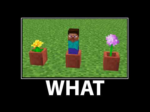 WAIT WHAT - Minecraft #30