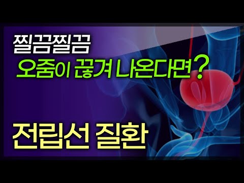 영상 썸네일