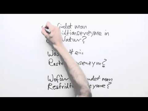 Biologie: Restriktionsenzyme | Biologie | Genetik