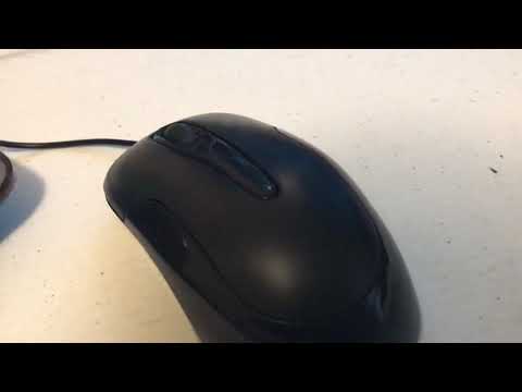 Smoops Setup and Room Tour!