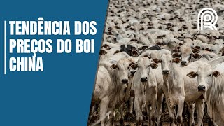 Miniatura do vídeo