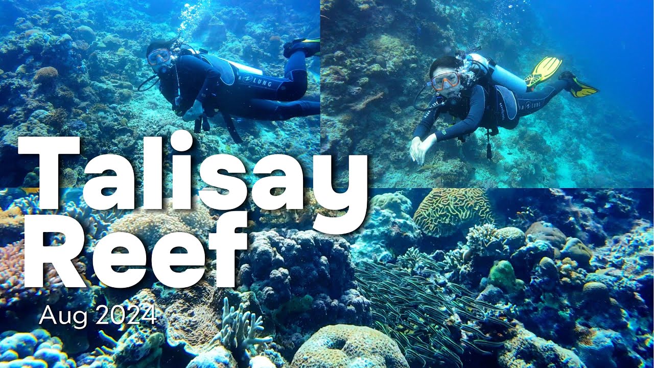 A cinematic drift through coral corridors and deepwater calm.