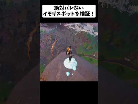 絶対バレないイモリスポットを検証！？【フォートナイト/fortnite】#謎検証 #epicpartner  #fortnite #フォートナイト #フォトナ #ネタ #shorts