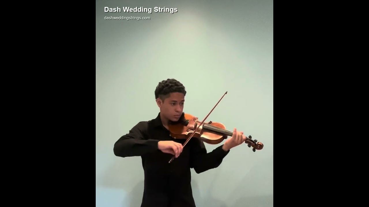 Promotional video thumbnail 2 for Dash Wedding Strings