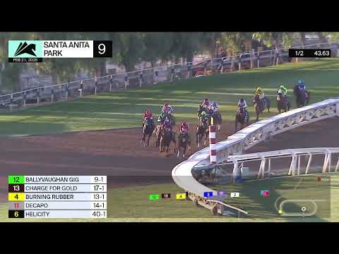 Yacowlef (IRE) wins Race 9 on Saturday, February 21 at Santa Anita Park