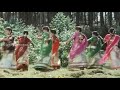 பறவைகள் பறந்து செல்ல பல்லம் மேடு வான�