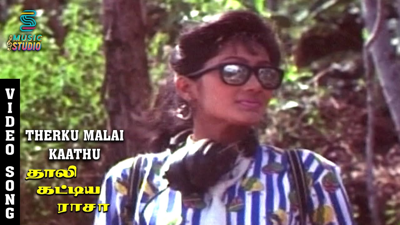 Therku Malai Kaathu Song Lyrics | Thaali Kattiya Raasa