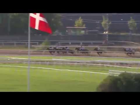 2014.09.13 Tattersalls Nickes Minneslöpning (SWE) - Giovanni Boldini