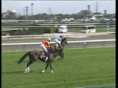 20070415 satsuki-yuga