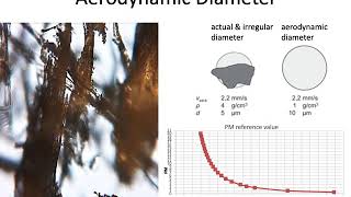 Determining the Aerodynamic Diameter of Various Wood Dust  to Better Assess Possible Health Risks