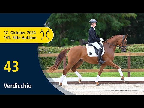 No. 43 Verdicchio by Von Und Zu - Fürst Fohlenhof | 141. Verden Elite-Auction on October, 12th