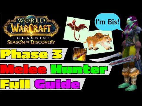 Melee Hunter Phase 3 Full Guide - BiS - Gear - Rotation - Runes - Consume - Talents - Spec - Pet