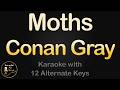 Conan Gray Moths Karaoke Instrumental Lower Higher Female Original Key