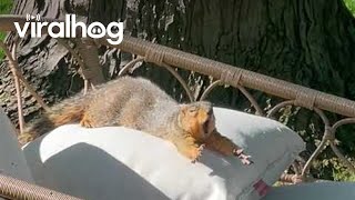 This Nap’s Not Gonna Take Itself || ViralHog