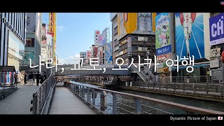 DynapicJapan 🇯🇵 일본 나라, 교토, 오사카 3박 4일 가족 여행기