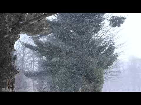 Snowy Morning Before The Winter Storm in Barron County, WI - 12/9/2021