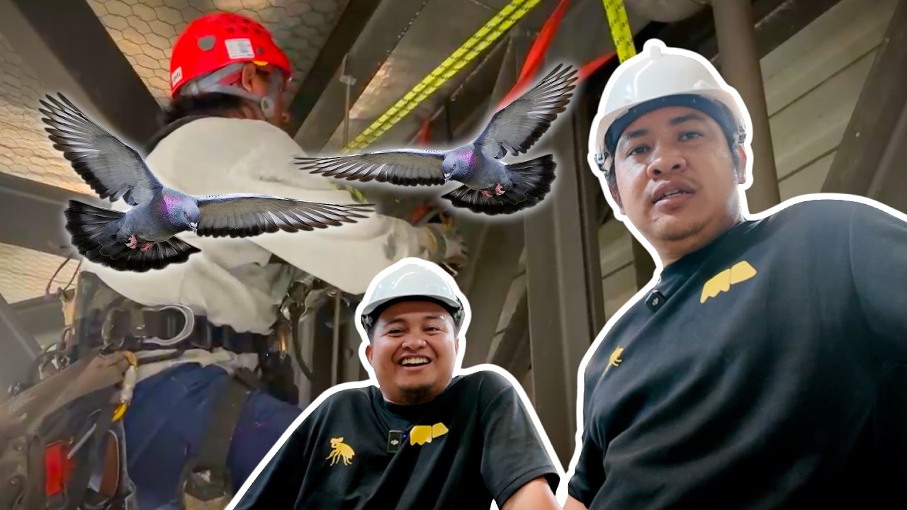 Solusi Sekat Merpati Masuk Tempat Anda