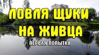 Ловля мужчин на живца что это