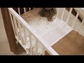 thumbnail: Meyco baby ledikantlaken Ruffle 100x150 Soft Pink