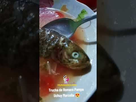 Trucha de Romero Pampa Morcolla Chico Fajardo Ayacucho 😍