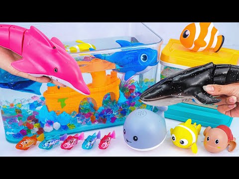 31 Minutes Satisfying with Unboxing Review Zuru Fish & RC Dolphin & Whale Aquarium Playset Toys ASMR