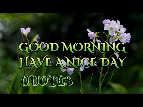 GOOD MORNING💖 QUOTES best video by Shameem