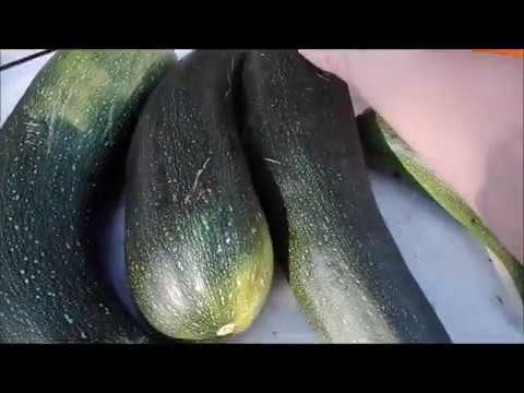 Vl.37.Gemüsetorte oder wie auch immer es heißt.