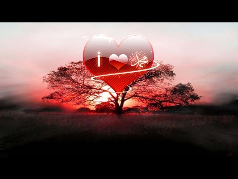 Neizmjerna ljubav prema Poslaniku  ﷺ | bosanski prevod