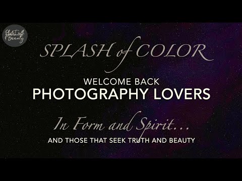 A SPLASH of COLOR 🔥FINE ART Photography.