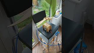 Solar Wooden Automata Pteranodon