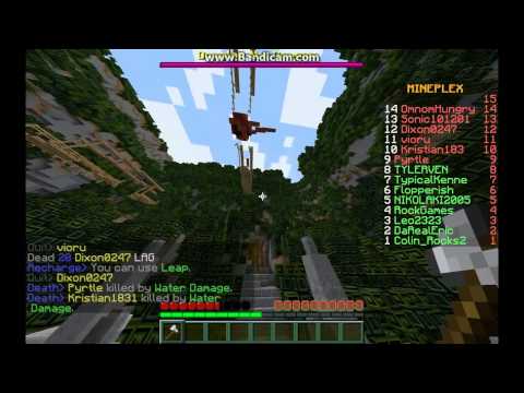 Into the jungle speedrun