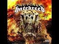 HATEBREED - Undiminished