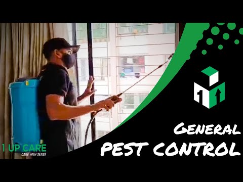 General Pest Control (GPC) by 1UP CARE
