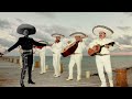 JAVIER SOLÍS; BAJO UN PALMAR.