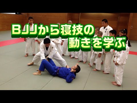 柔道　BJJから学ぶ寝技の動作