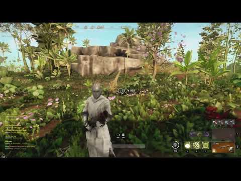 Blunderbuss / Spear ONE SHOT Build | New World Build #1