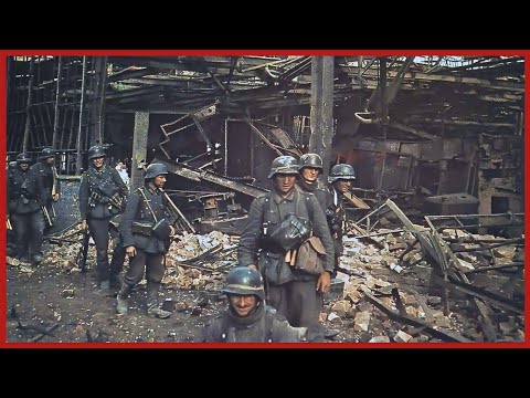 Im Inneren von Stalingrads tödlichster Fabrik – Die Geschichte des Pioniers Hans Eckle