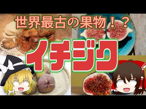 イチジクは太りますか？カロリーと分析