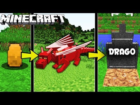 LA VITA del DRAGO su MINECRAFT | dalla NASCITA alla M0RTE