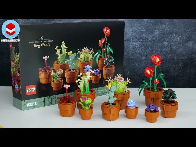 Vídeo relacionado con LEGO Botanicals Tiny Plants - 9 Potted Artificial Flowers Set for Indoors Incl. Faux Cactuses & Red Anthurium - House Warming Gifts & Home Decor - 10329