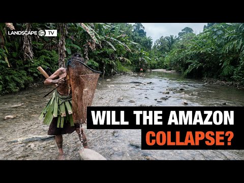 Amazon Deforestation: The Next Climate Tipping Point?
