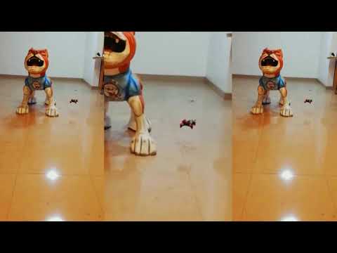 Mini Drone FPV Rodeo 110