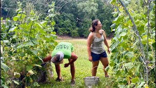 Gettin’ It Picked || Hot Days & Full Buckets || July 2025