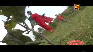 Buru dhare jhul danang old santali video song