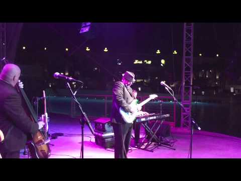 Promotional video thumbnail 2 for Pro Bassist Available